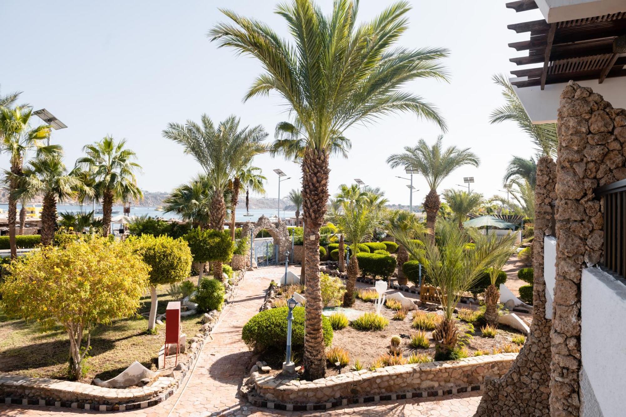 Turquoise Beach Hotel Szarm el-Szejk Zewnętrze zdjęcie