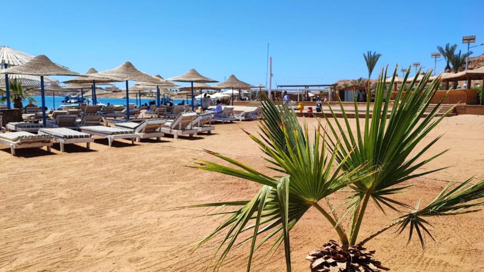 Turquoise Beach Hotel Szarm el-Szejk Zewnętrze zdjęcie